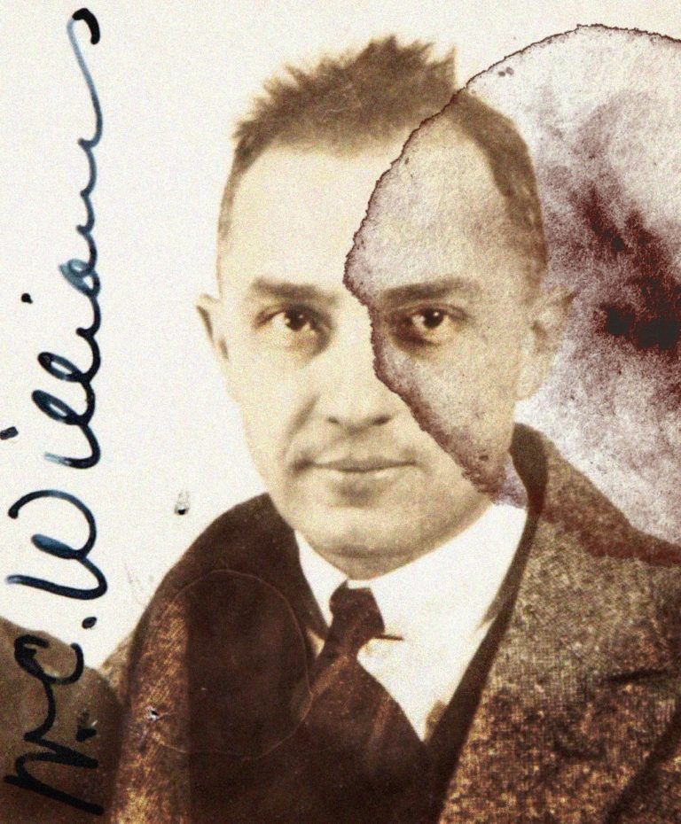 Mentoring for WCW-Pegasus-Review