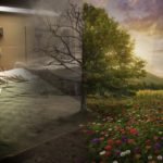 bed tree composite square2048