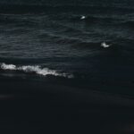 ha-nguy-n-0rimaS8P9F0-unsplash