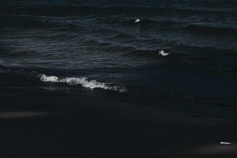 ha-nguy-n-0rimaS8P9F0-unsplash